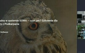 Zdjęcie sowy i tytuł szkolenia