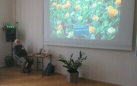 Prezentacja multimedialna z tulipanami. Na krześle siedzi mężczyzna. 