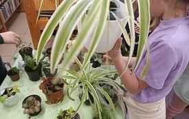 Dziewczynka trzymająca kwiat w doniczce.