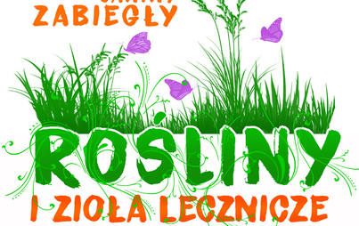 Zdjęcie do &bdquo;Rośliny i zioła na mojej działce&rdquo; - prelekcja Janiny Zabiegły