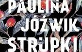 Zdjęcie do Recenzja książki "Strupki" Pauliny J&oacute;źwik 